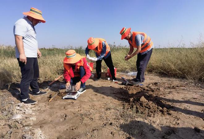 一段与大地共舞的故事——山东省煤田地质局五队高质量开展三普工作纪实